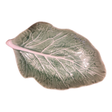 Cabbage leaf slip