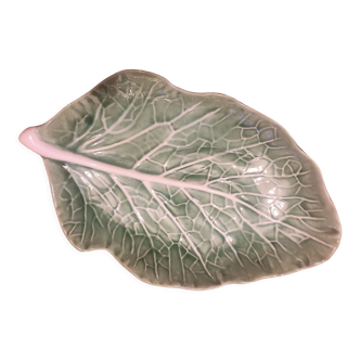 Cabbage leaf slip