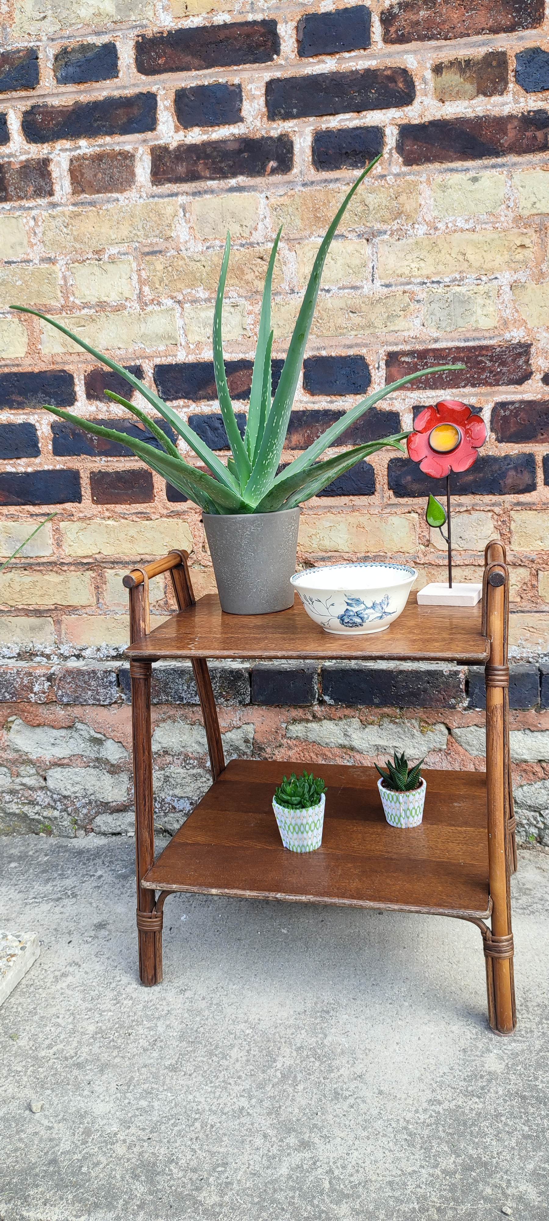 Serving rattan and wood side furniture