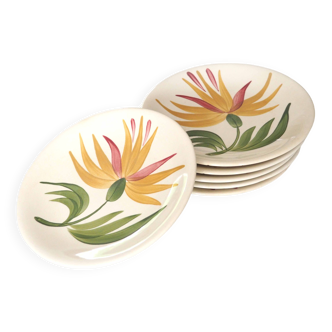 6 Longchamp plates with flower decoration