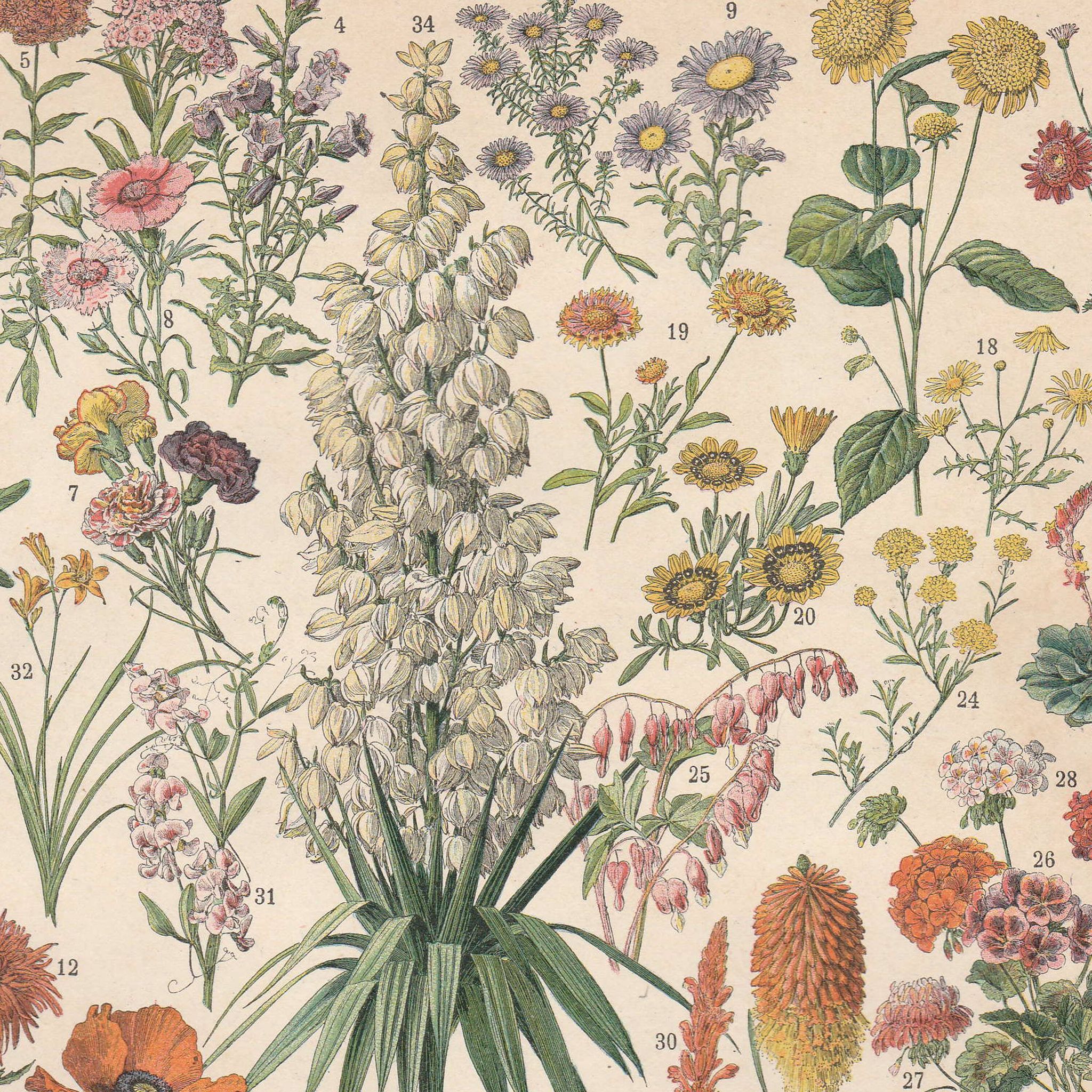 Old plate on flowers 1897