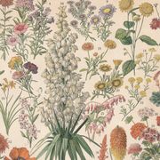 Old plate on flowers 1897