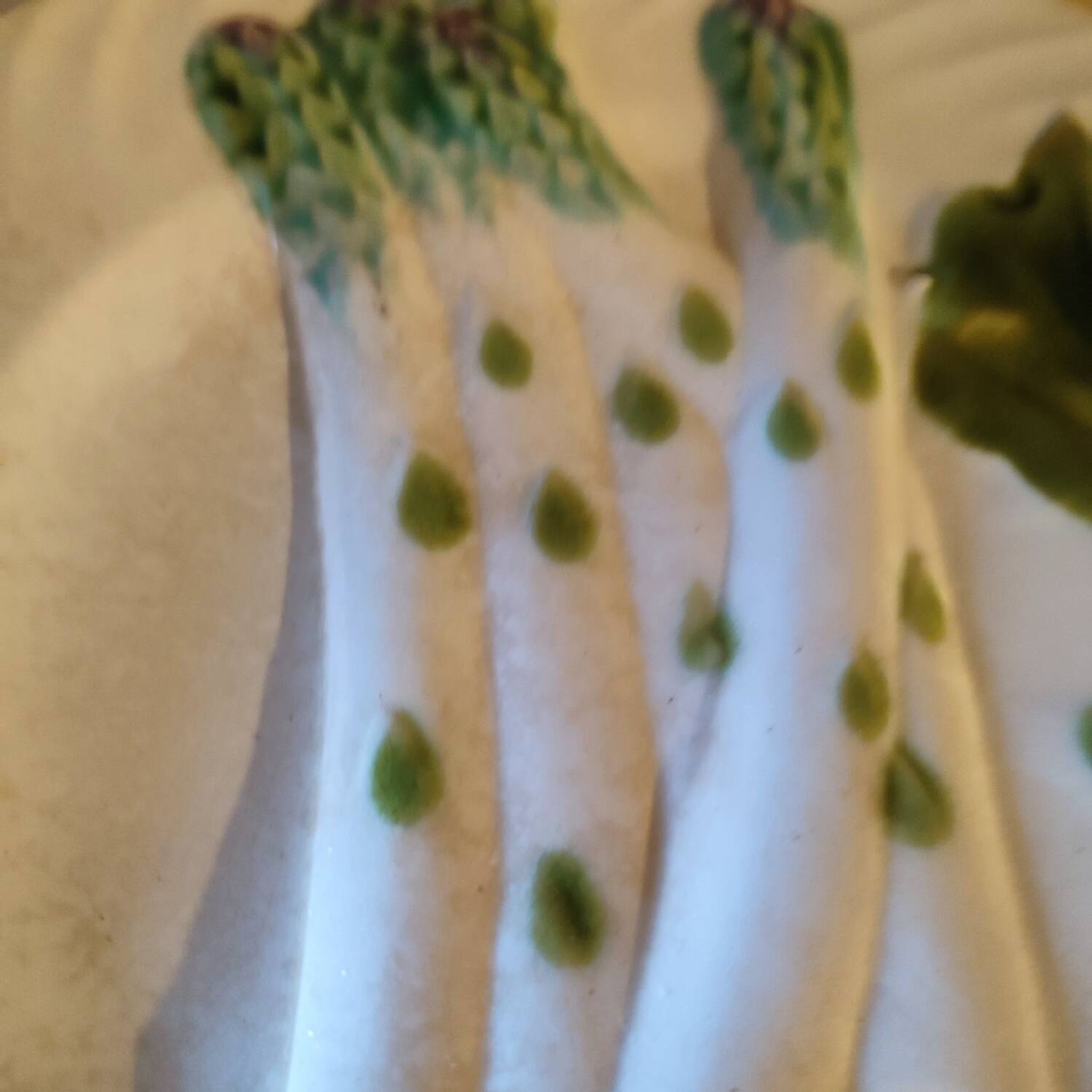 Two old asparagus plates in Salins barbotine