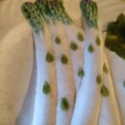 Two old asparagus plates in Salins barbotine
