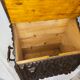 Chest folk art tramp art period 19 eme