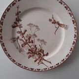 Lot of iron earth plates