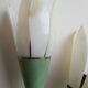 "Flower" wall sconces - 1950s/60s