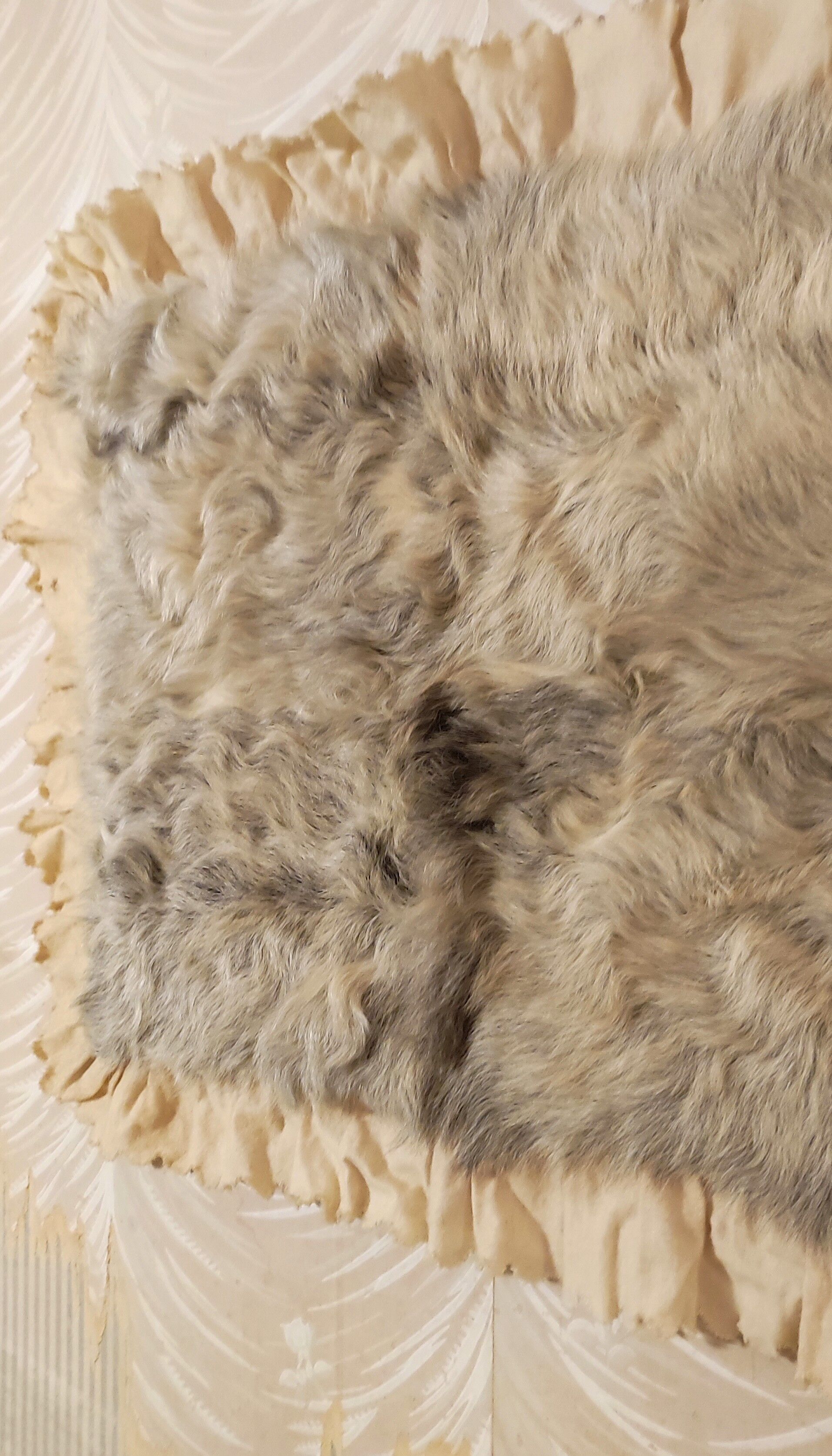 Old “cheap” fur baby blanket