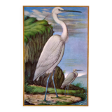 Lithograph Aigrette 1950