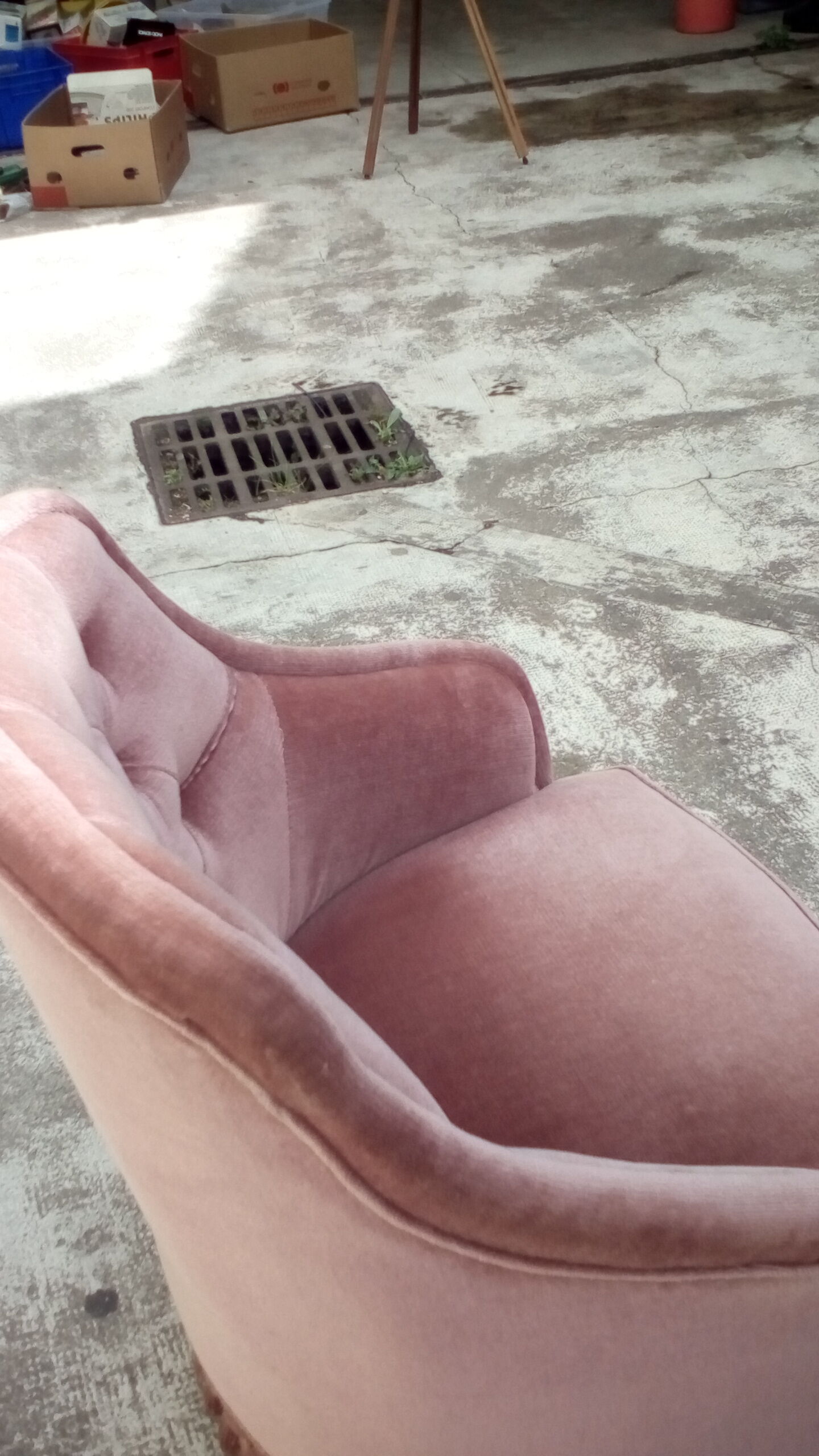 Armchair pink toad