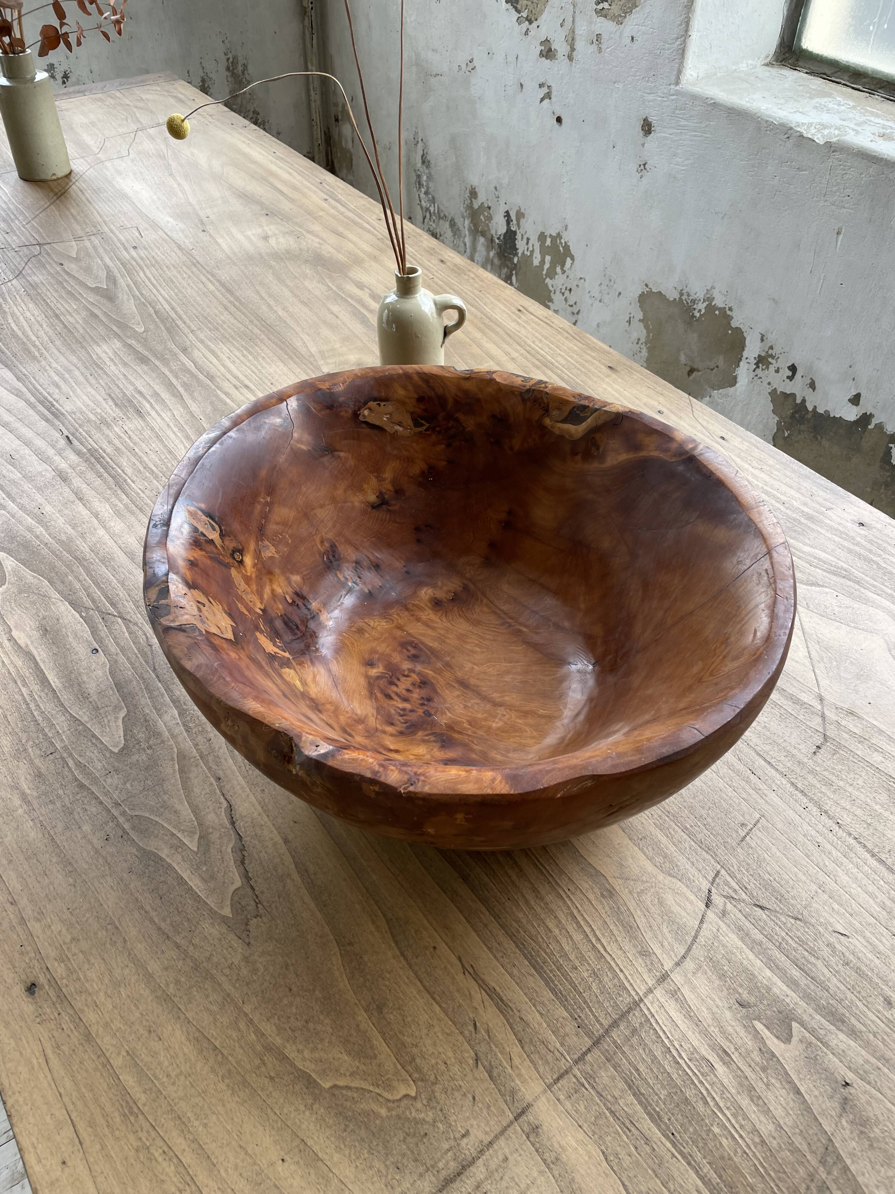 XL thuja root wooden dish