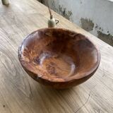 XL thuja root wooden dish