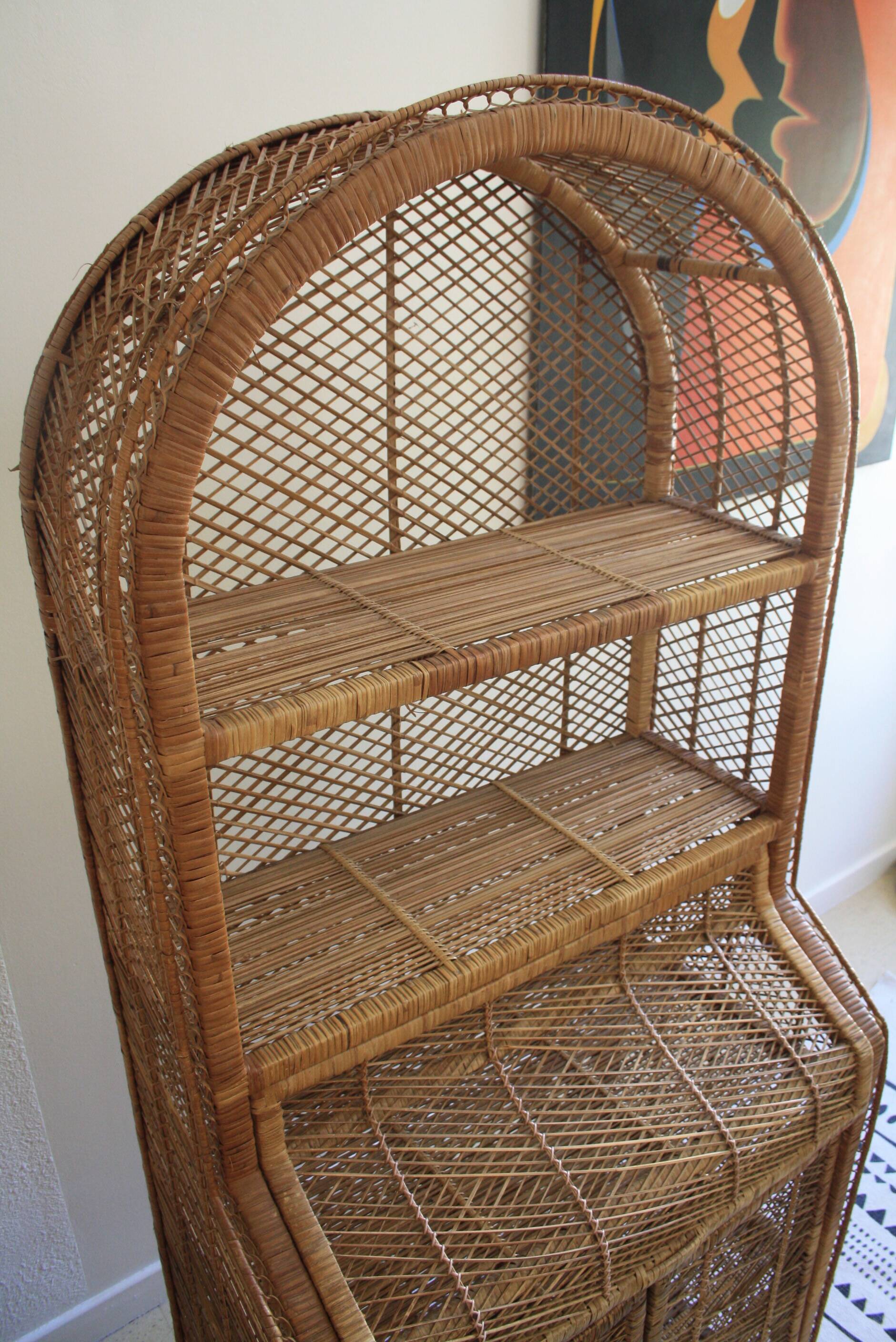Rattan and woven wicker library