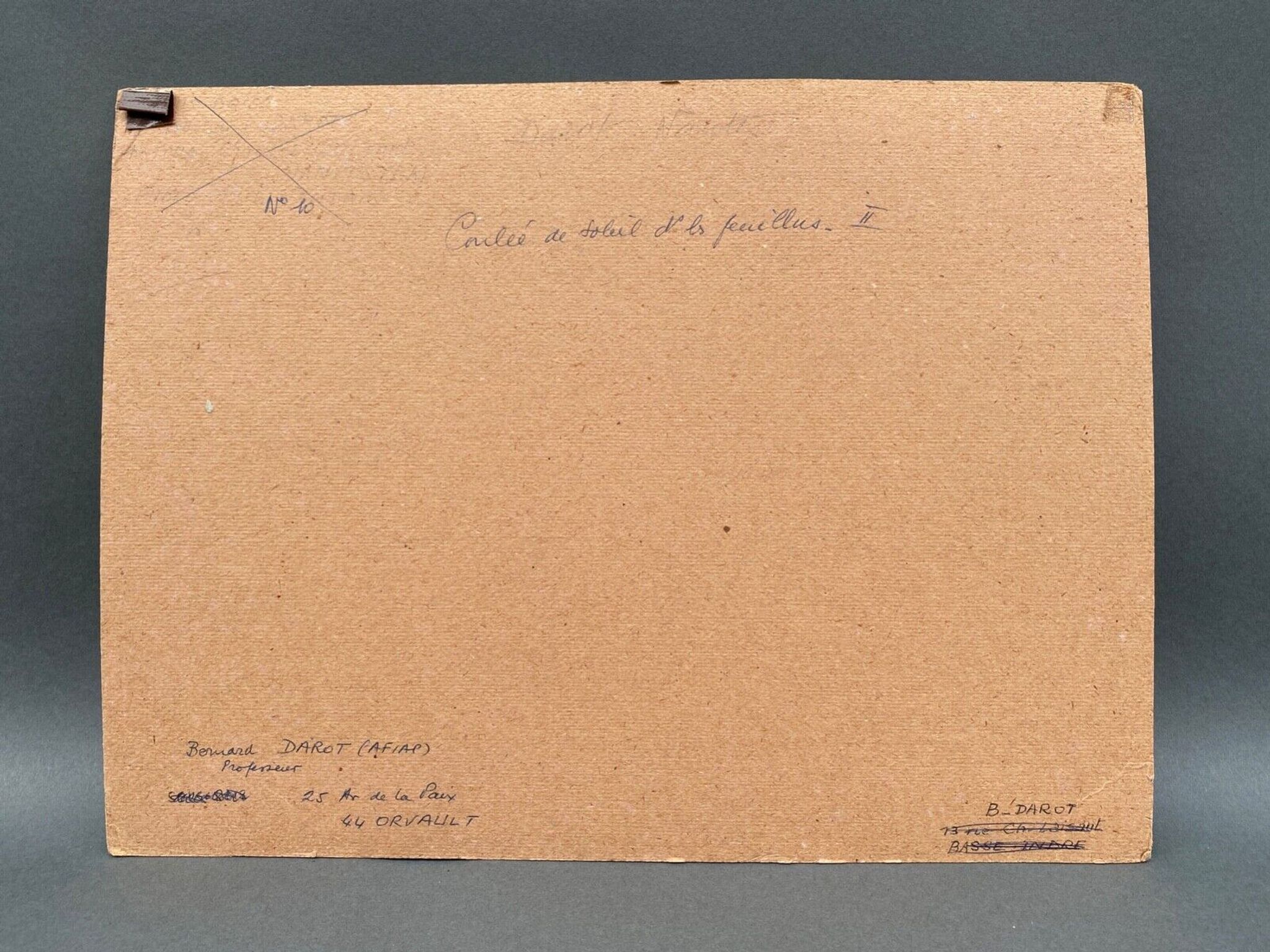 Photo argentique Bernard Darot Coulée de soleil dans les feuillus XXe