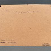 Photo argentique Bernard Darot Coulée de soleil dans les feuillus XXe