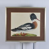 Animal lithography