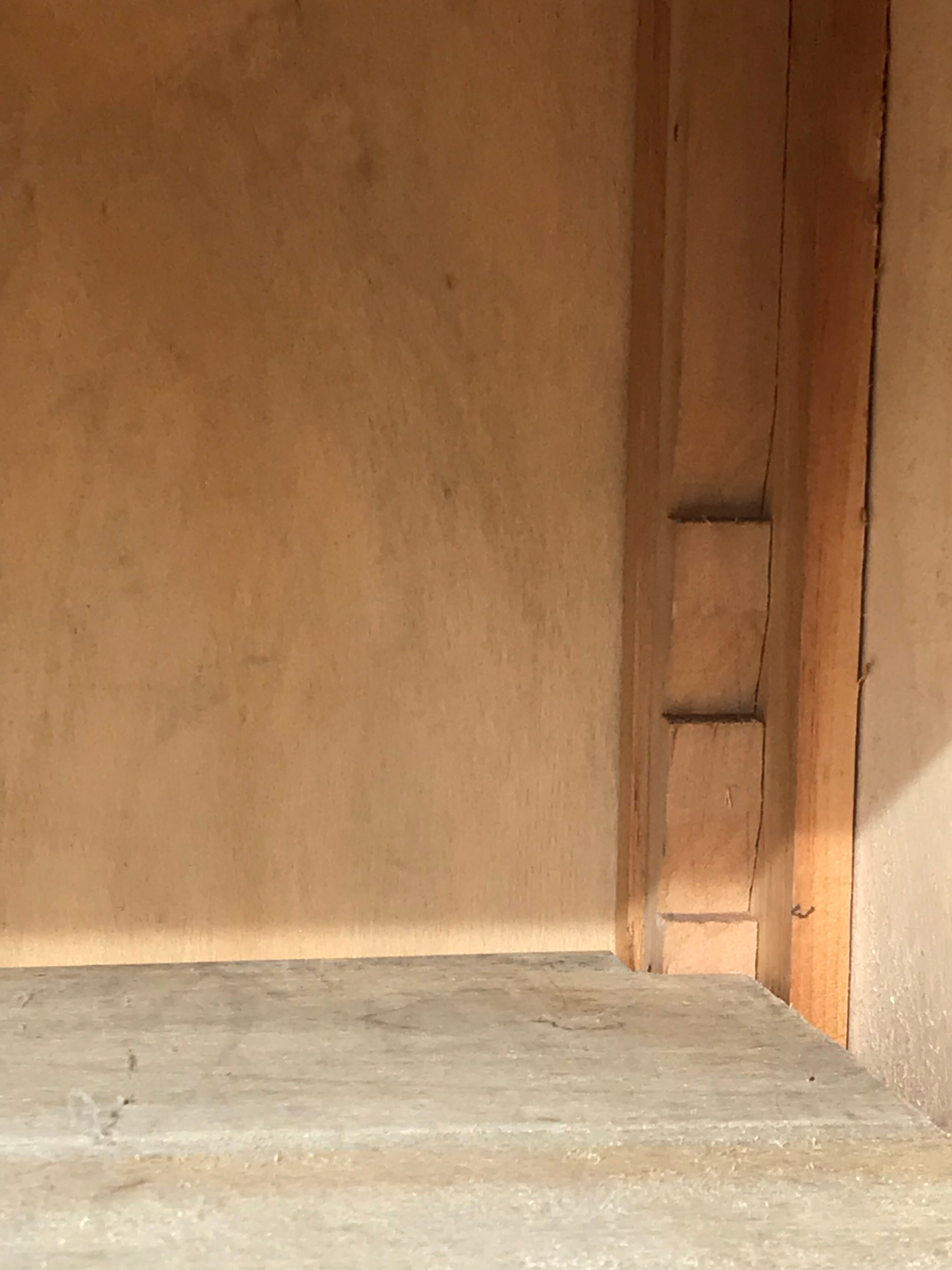 Parisian cabinet with double doors in raw wood