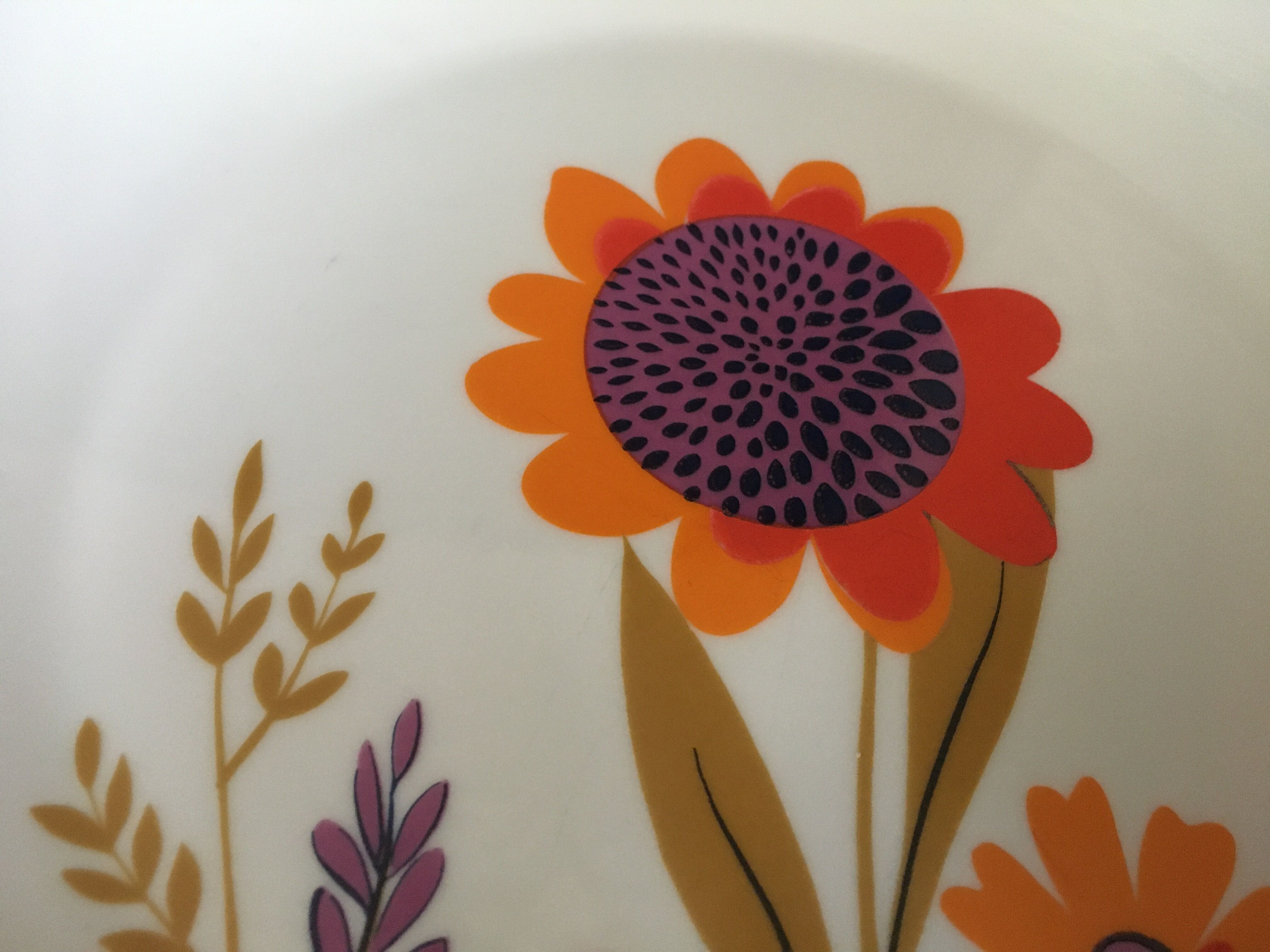 Sologne Porcelain Pop Flat Plates