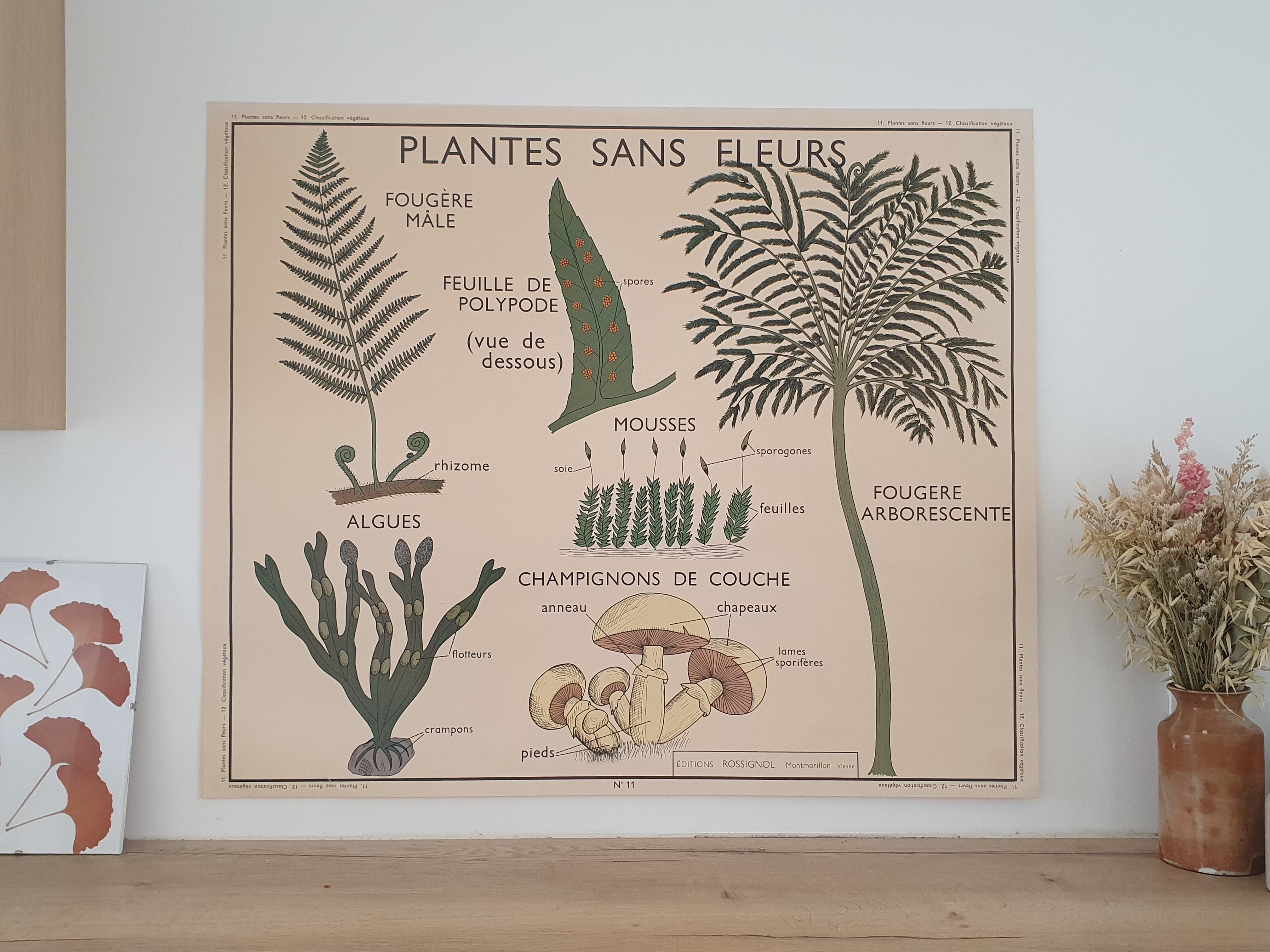 Rossignol school poster