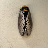 Ceramic cicada