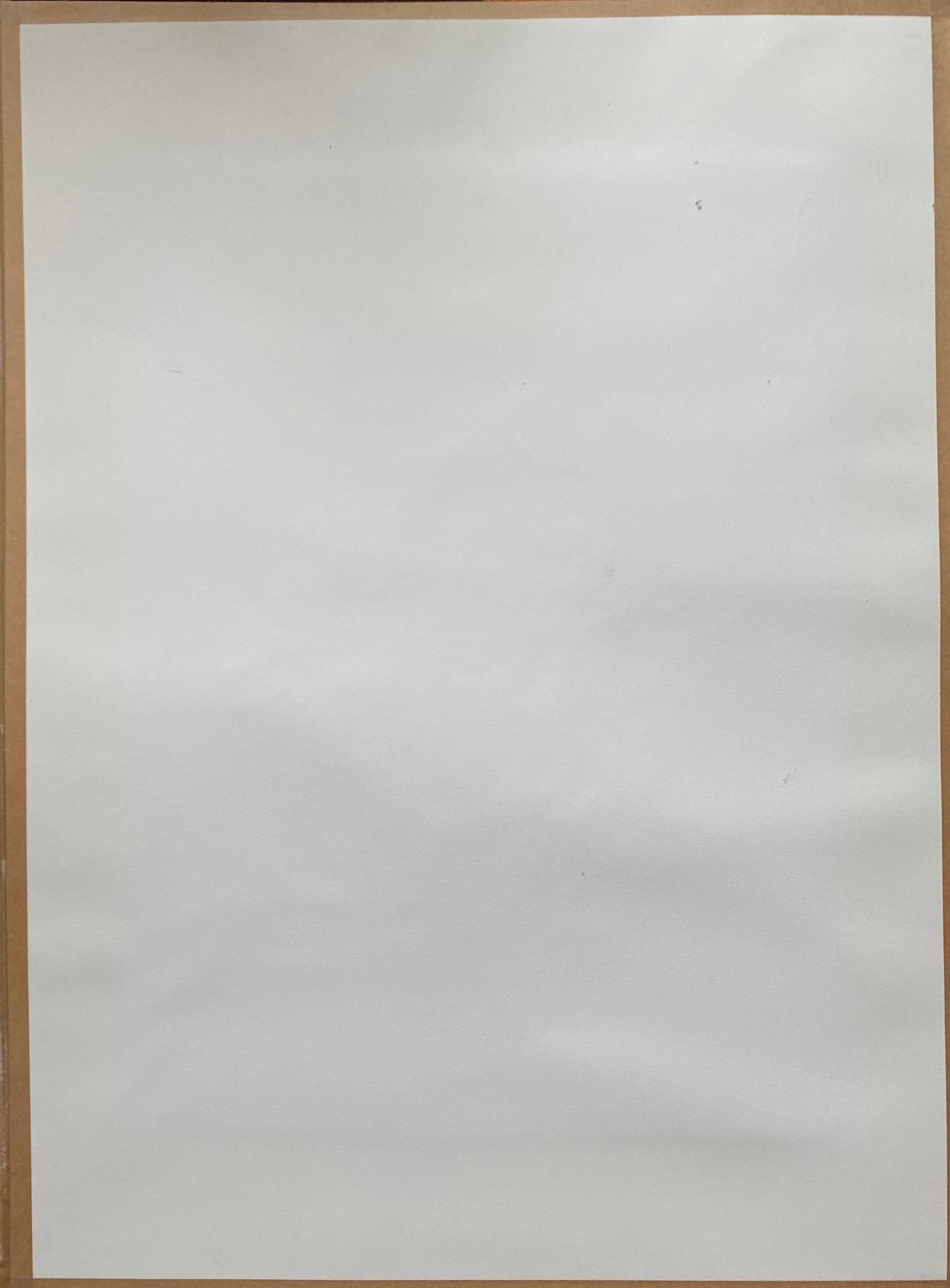 Tableau aquarelle naturaliste "Les Iris" signée B. Thierry 1995