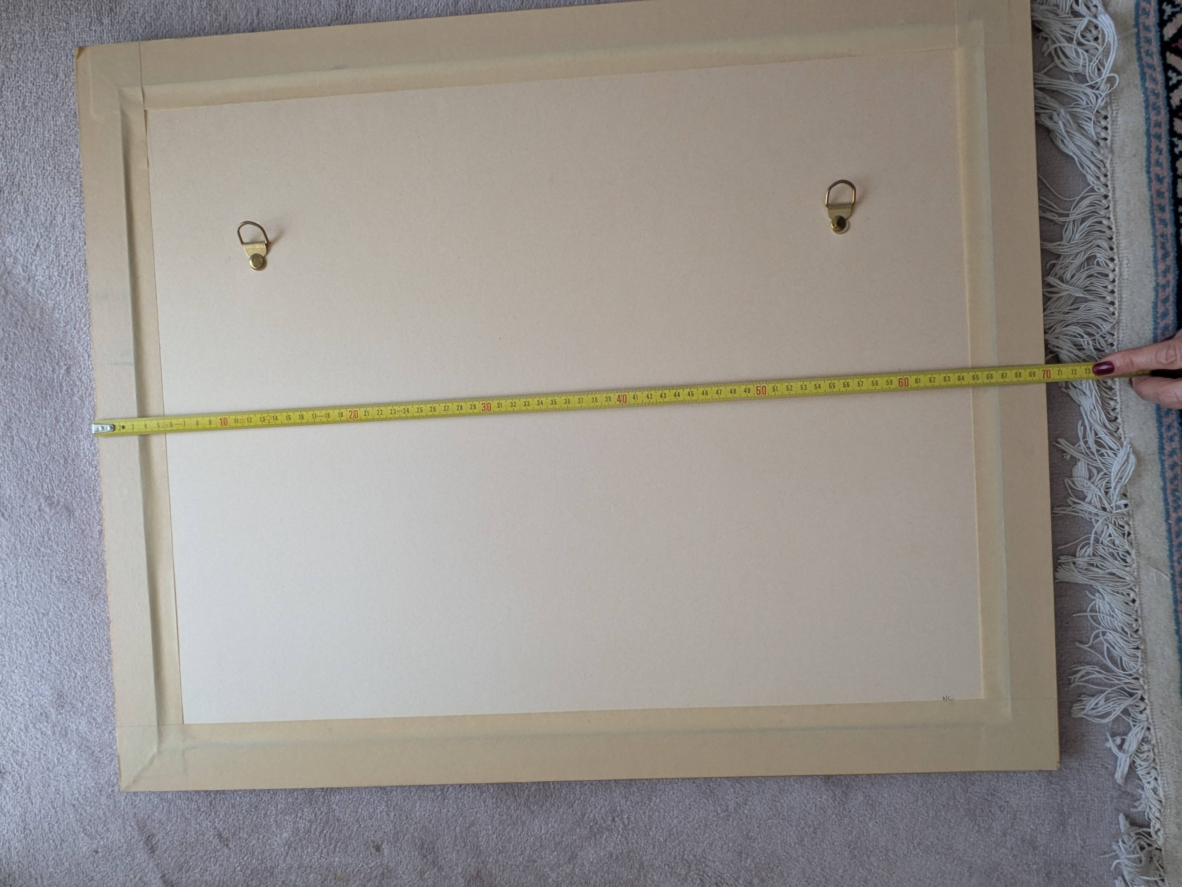 Vintage Framed Botanical Engraving