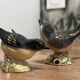 Oiseaux Beswick