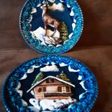 Set of 2 decorative majolica-style plates