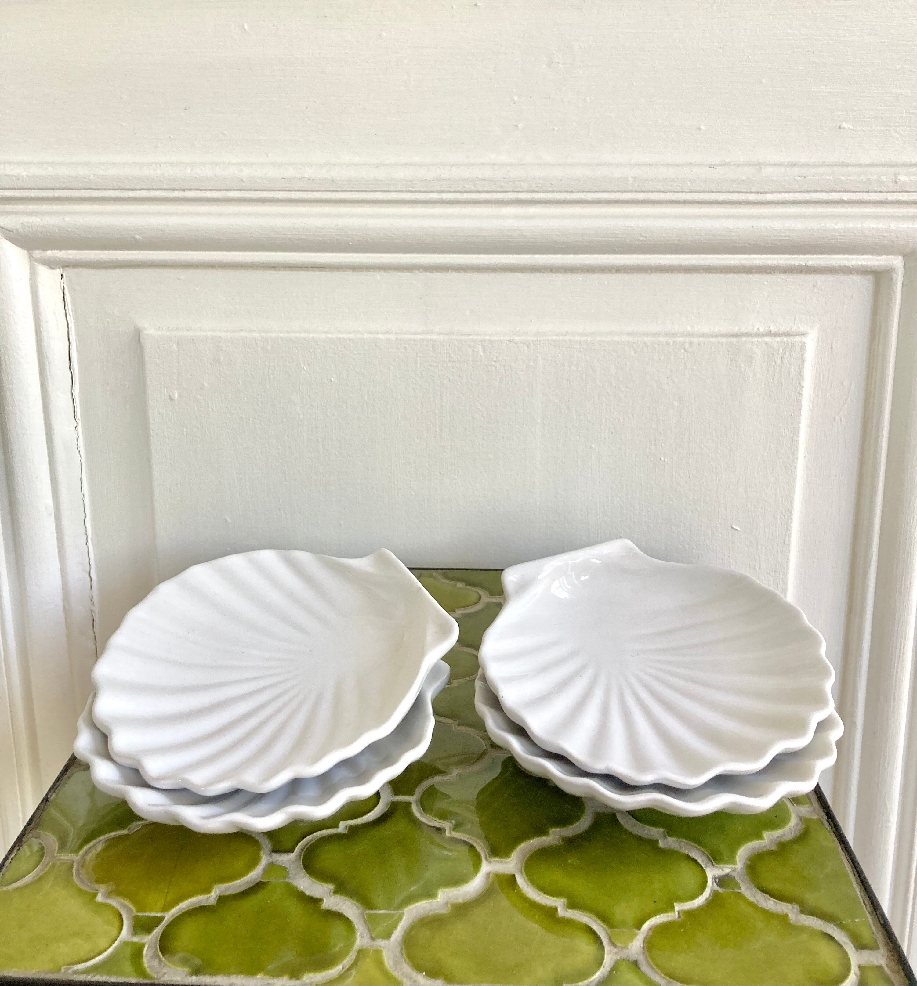 Empty scallop cups ceramic pockets
