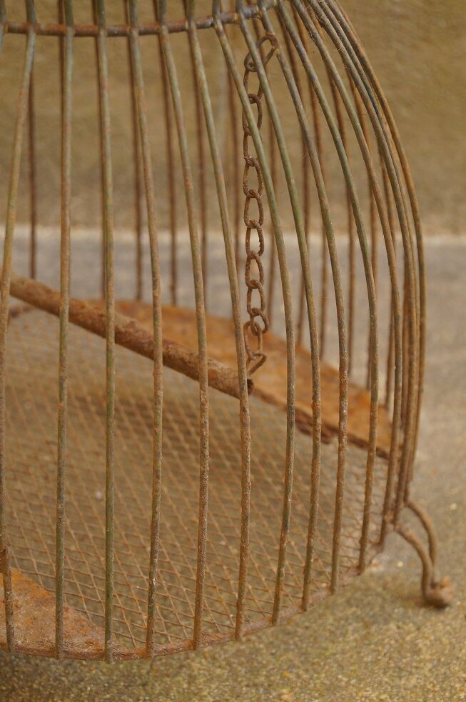 Vintage bird cage