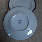 Bernardaud Limoges Antinea service plates