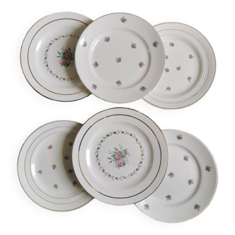 Vintage mismatched dinner plates, Savoie