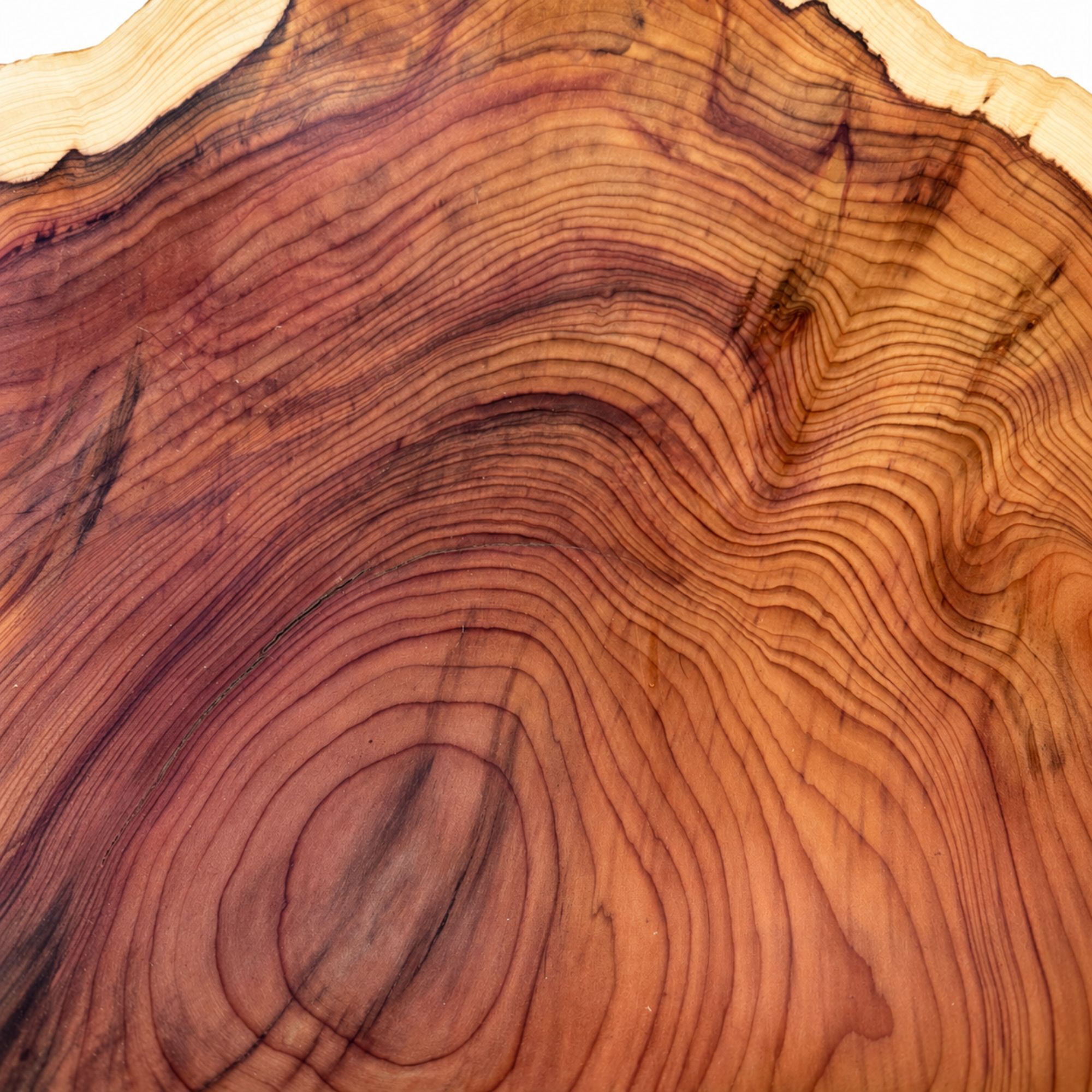 Contemporary monoxyle coupe in fir by Ralph Ribour