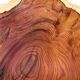 Contemporary monoxyle coupe in fir by Ralph Ribour