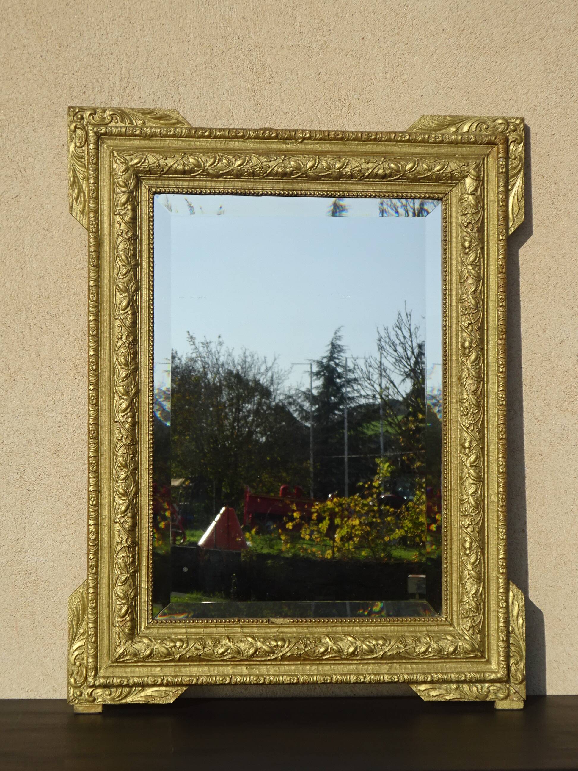 Antique mercury mirror in the Napoleon III style.