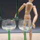 Set 6 verres vin Alsace