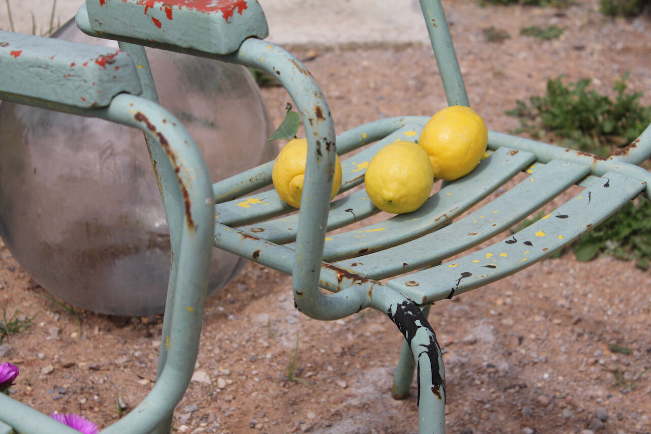 Paire de fauteuils de jardin vintage