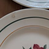 8 Marielle Saint Amand dinner plates