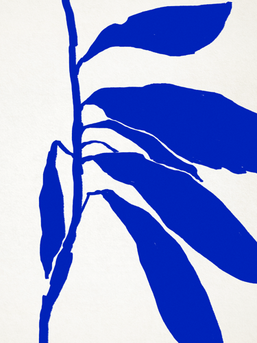 Illustration botanique en bleu 50x70cm