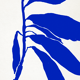 Botanical illustration in blue, 50x70cm