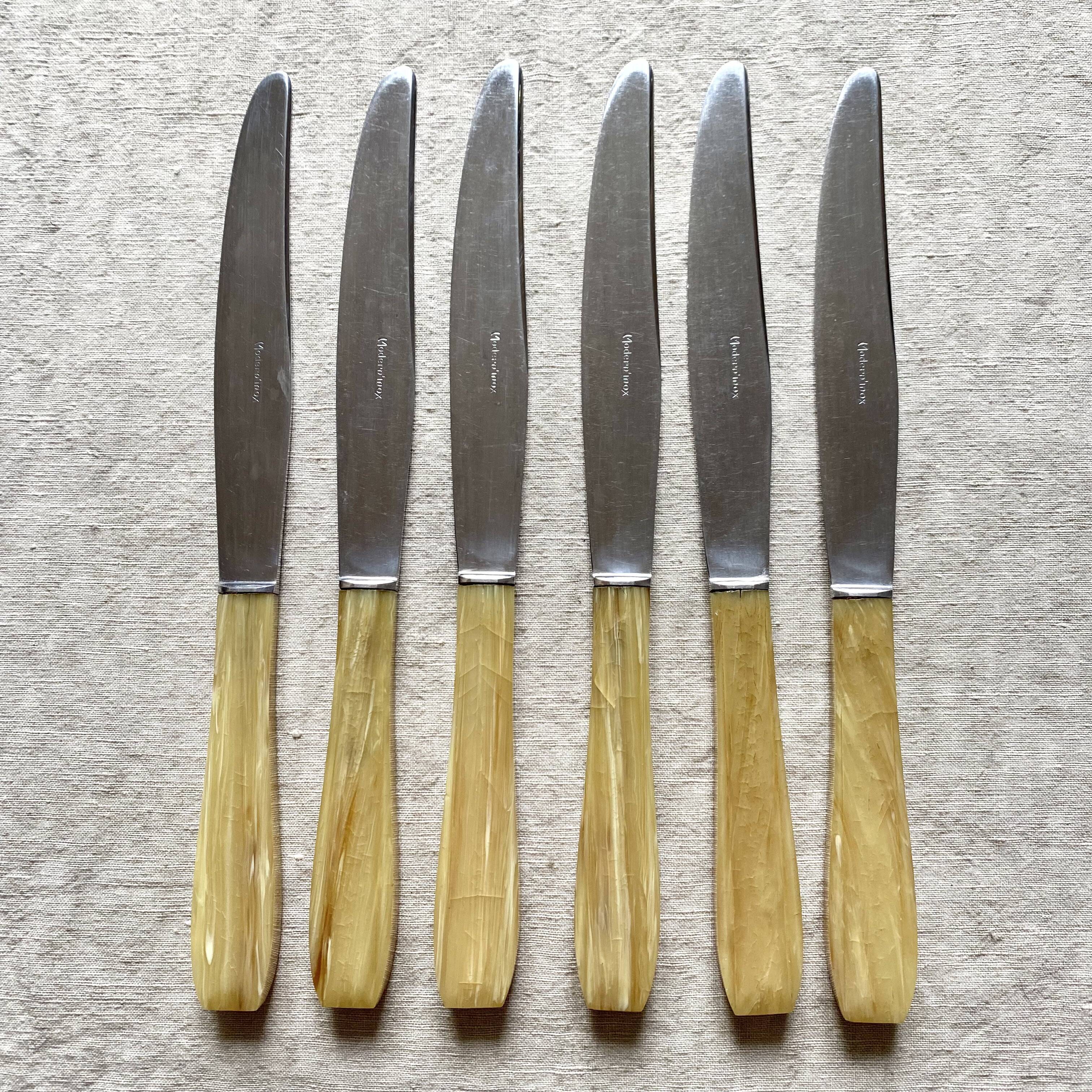 Couteaux en inox et résine vintage