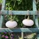 Vintage powder pink opaline globe player 1950