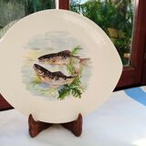 6 flat oval plates Salins