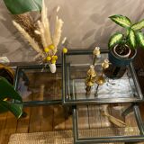 Nesting coffee tables by Pierre Vandel