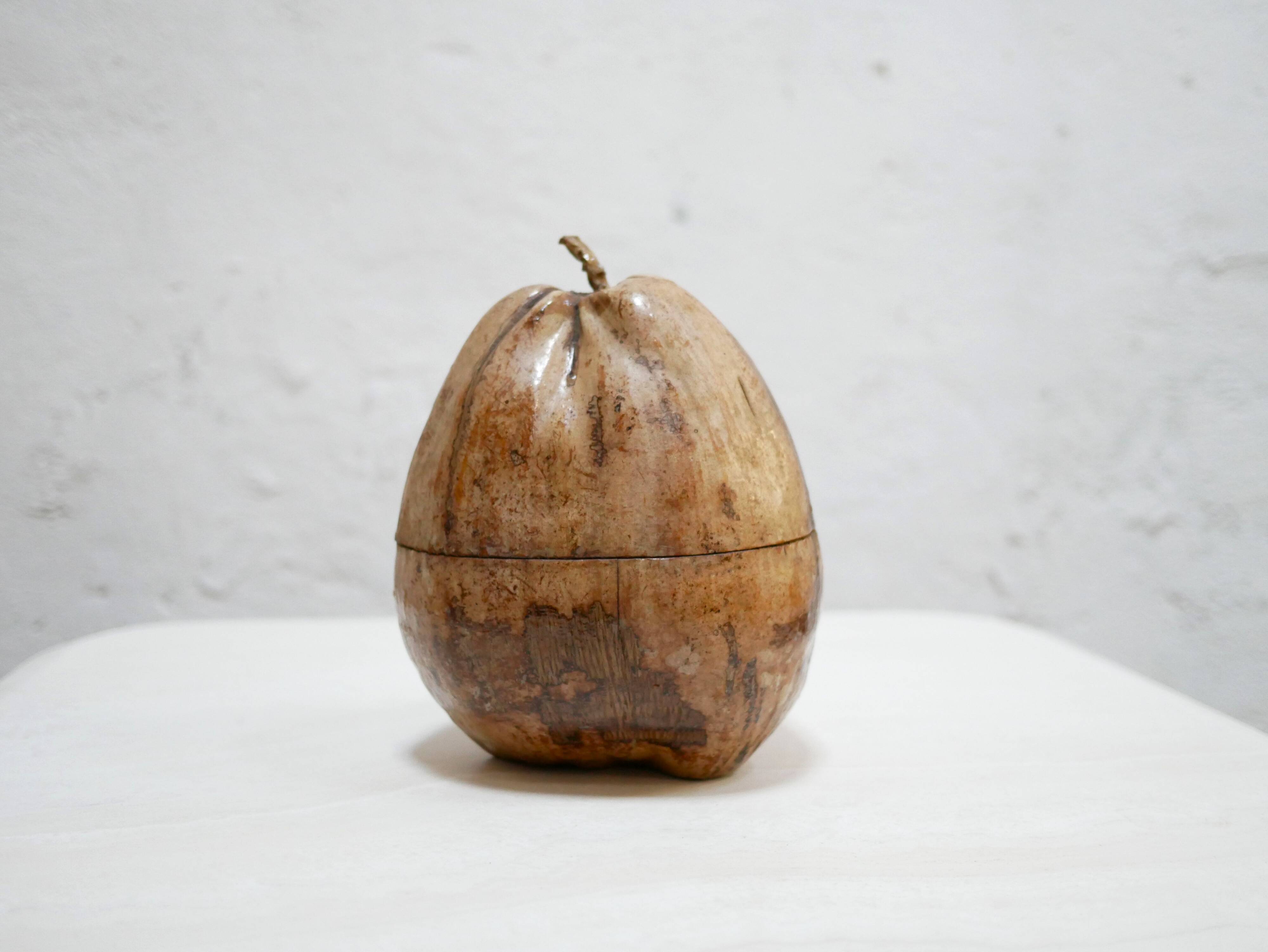 Vintage Coconut Ice Bucket