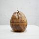 Vintage Coconut Ice Bucket