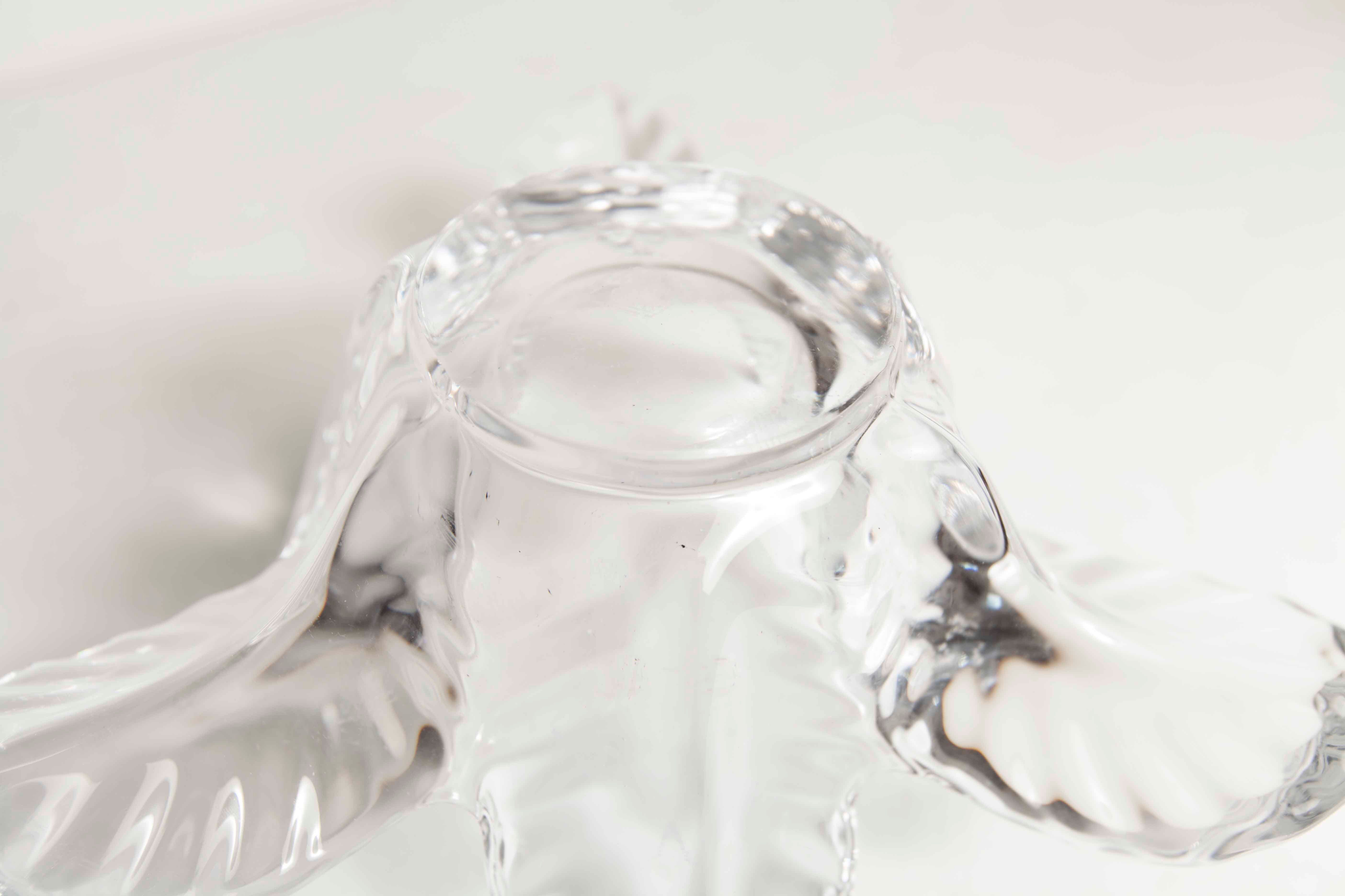 Empty floral pocket crystal of transparent arques signed
