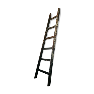 Skate painter ladder