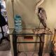 Vintage metal and glass console