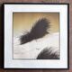 Set of 2 prints by the photographer Manfred Seelow.